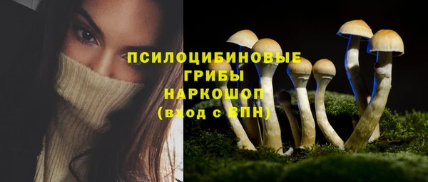 PSILOCYBIN Тобольск