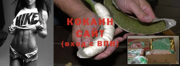 ПСИЛОЦИБИНОВЫЕ ГРИБЫ Арсеньев