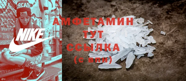 ПСИЛОЦИБИНОВЫЕ ГРИБЫ Арсеньев