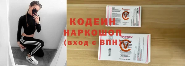 ПСИЛОЦИБИНОВЫЕ ГРИБЫ Арсеньев