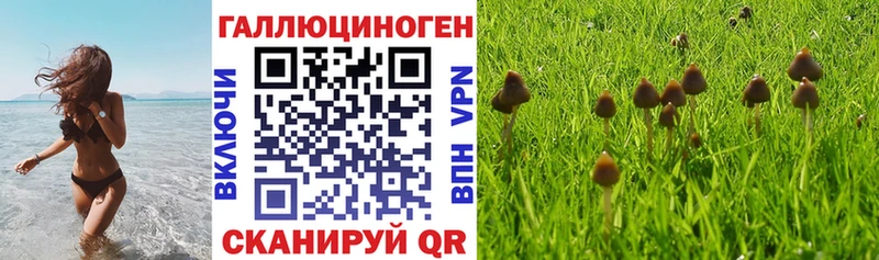 Псилоцибиновые грибы Cubensis  Купить закладки  Болгар 